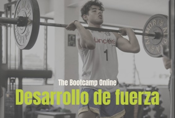 program1